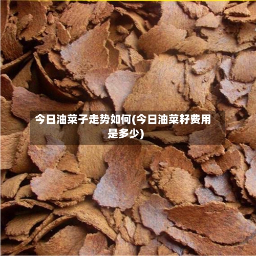 今日油菜子走势如何(今日油菜籽费用是多少)-第3张图片