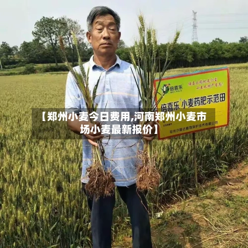 【郑州小麦今日费用,河南郑州小麦市场小麦最新报价】-第2张图片