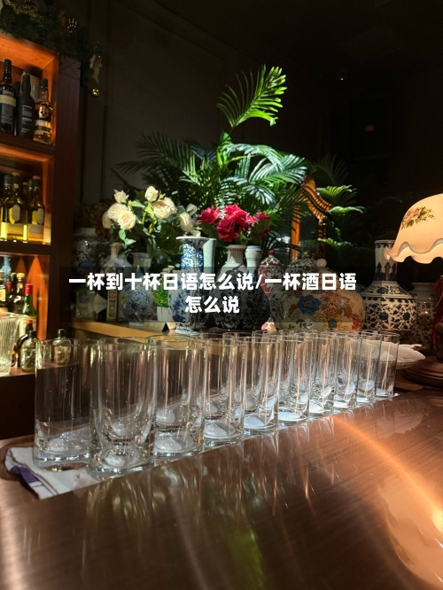 一杯到十杯日语怎么说/一杯酒日语怎么说