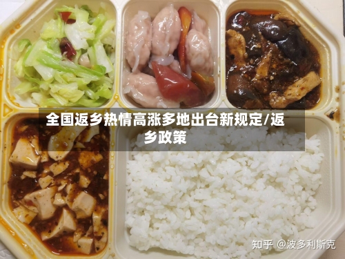 全国返乡热情高涨多地出台新规定/返乡政策
