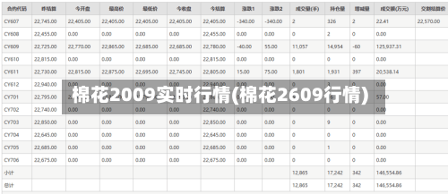 棉花2009实时行情(棉花2609行情)