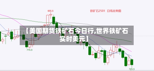 【美国期货铁矿石今日行,世界铁矿石实时美元】