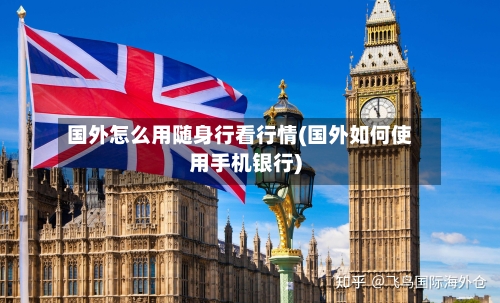 国外怎么用随身行看行情(国外如何使用手机银行)-第2张图片