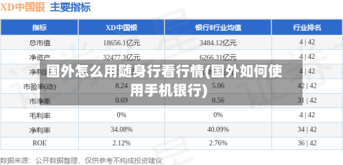 国外怎么用随身行看行情(国外如何使用手机银行)-第3张图片