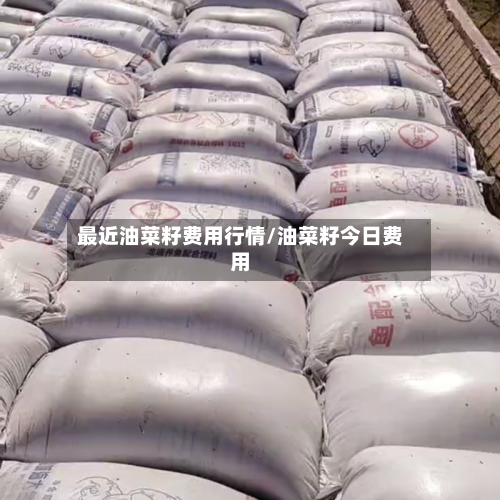 最近油菜籽费用行情/油菜籽今日费用-第3张图片