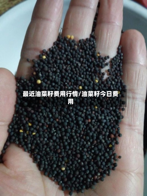 最近油菜籽费用行情/油菜籽今日费用-第2张图片