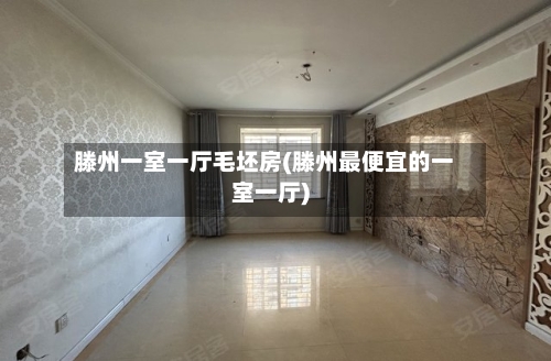 滕州一室一厅毛坯房(滕州最便宜的一室一厅)-第2张图片