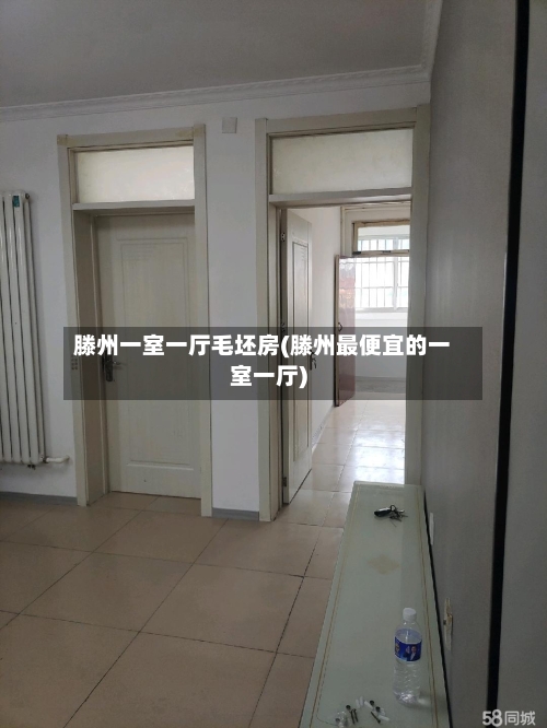 滕州一室一厅毛坯房(滕州最便宜的一室一厅)-第3张图片