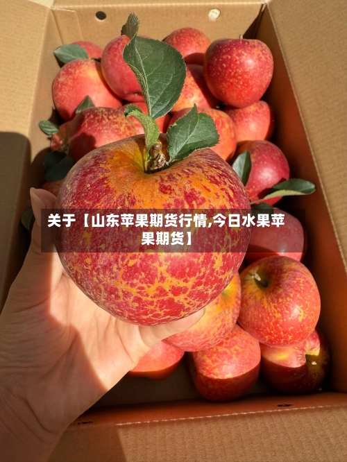 关于【山东苹果期货行情,今日水果苹果期货】-第3张图片