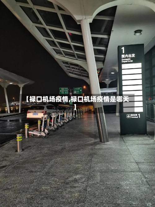 【禄口机场疫情,禄口机场疫情是哪天】-第2张图片