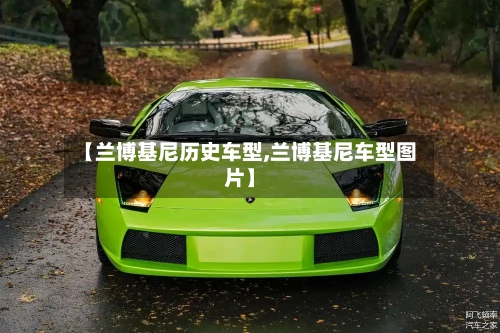 【兰博基尼历史车型,兰博基尼车型图片】-第3张图片