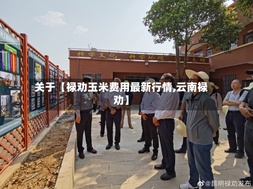 关于【禄劝玉米费用最新行情,云南禄劝】