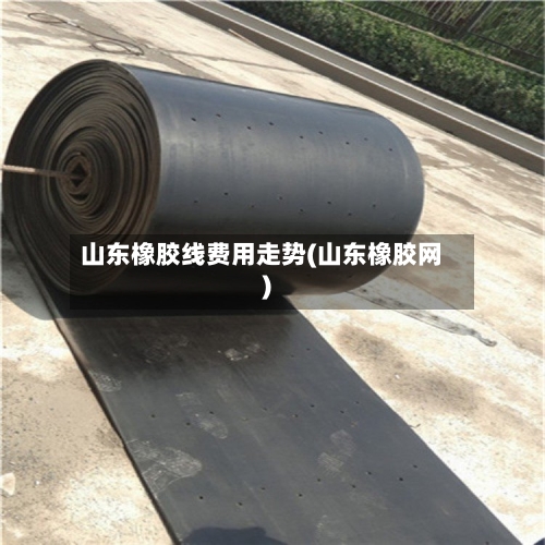 山东橡胶线费用走势(山东橡胶网)-第2张图片