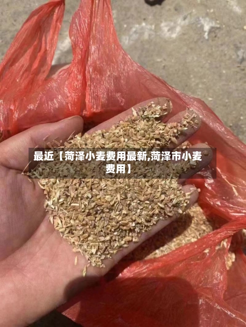 最近【菏泽小麦费用最新,菏泽市小麦费用】-第2张图片