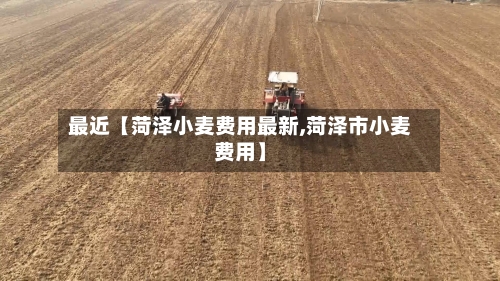 最近【菏泽小麦费用最新,菏泽市小麦费用】