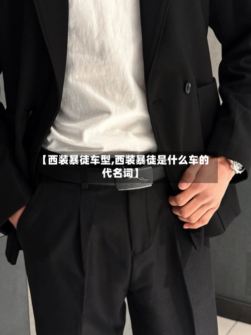 【西装暴徒车型,西装暴徒是什么车的代名词】-第2张图片