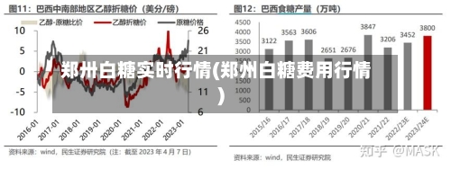 郑卅白糖实时行情(郑州白糖费用行情)-第2张图片