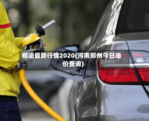 郑油最新行情2020(河南郑州今日油价查询)-第2张图片