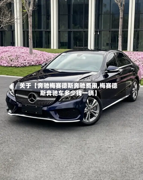 关于【奔驰梅赛德斯奔驰费用,梅赛德斯奔驰车多少钱一辆】-第2张图片
