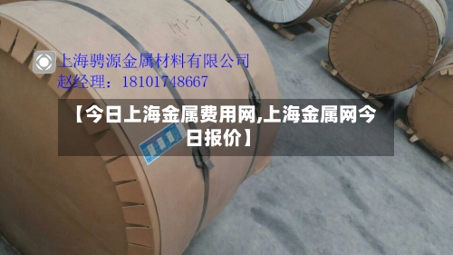 【今日上海金属费用网,上海金属网今日报价】-第3张图片
