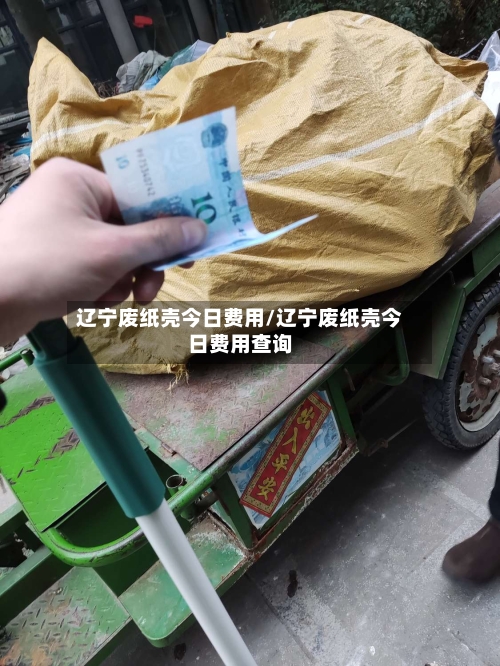 辽宁废纸壳今日费用/辽宁废纸壳今日费用查询-第3张图片