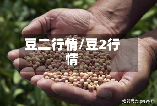 豆二行情/豆2行情