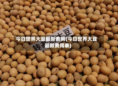 今日世界大豆最新费用(今日世界大豆最新费用表)