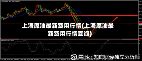 上海原油最新费用行情(上海原油最新费用行情查询)-第2张图片