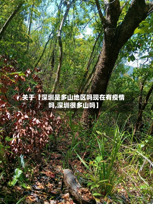关于【深圳是多山地区吗现在有疫情吗,深圳很多山吗】