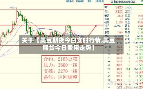 关于【美豆期货今日实时行情,美豆期货今日费用走势】-第2张图片