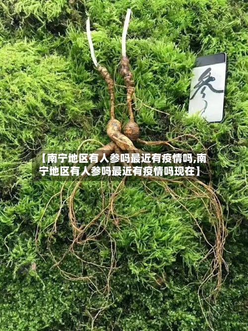【南宁地区有人参吗最近有疫情吗,南宁地区有人参吗最近有疫情吗现在】-第2张图片