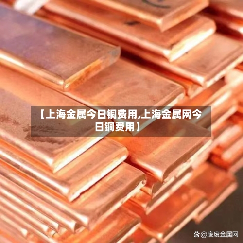 【上海金属今日铜费用,上海金属网今日铜费用】