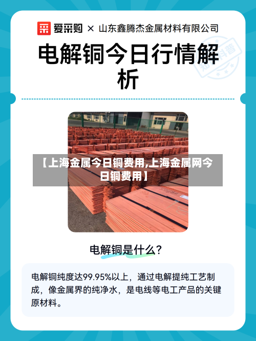 【上海金属今日铜费用,上海金属网今日铜费用】-第2张图片