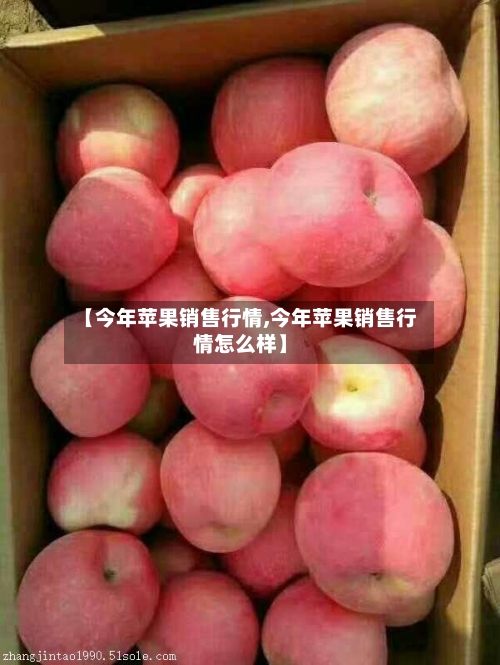 【今年苹果销售行情,今年苹果销售行情怎么样】
