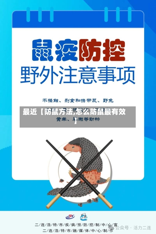 最近【防鼠方法,怎么防鼠最有效】-第3张图片
