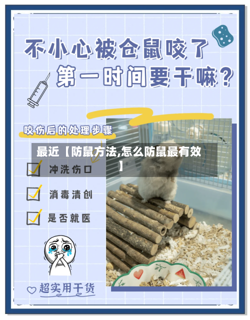 最近【防鼠方法,怎么防鼠最有效】