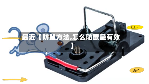 最近【防鼠方法,怎么防鼠最有效】-第2张图片