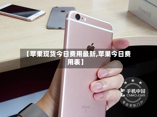 【苹果现货今日费用最新,苹果今日费用表】