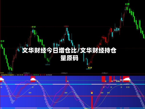 文华财经今日增仓比/文华财经持仓量原码