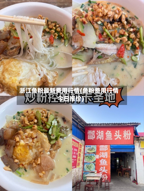 浙江鱼粉最新费用行情(鱼粉费用行情今日报价)-第3张图片