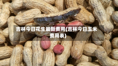 吉林今日花生最新费用(吉林今日玉米费用表)-第2张图片