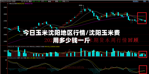 今日玉米沈阳地区行情/沈阳玉米费用多少钱一斤-第2张图片