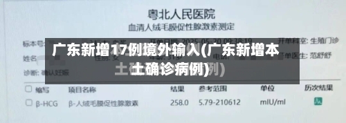 广东新增17例境外输入(广东新增本土确诊病例)-第2张图片