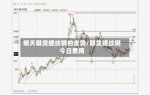 明天期货螺纹钢的走势/期货螺纹钢今日费用
