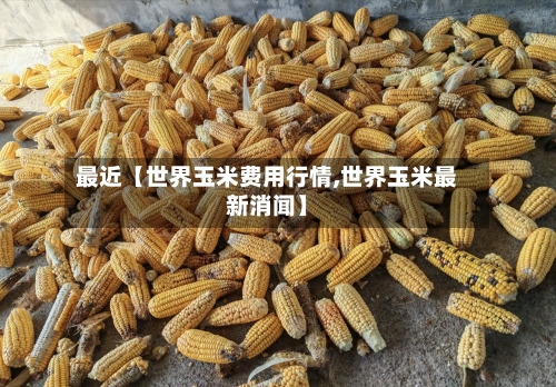 最近【世界玉米费用行情,世界玉米最新消闻】-第2张图片