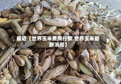 最近【世界玉米费用行情,世界玉米最新消闻】-第3张图片