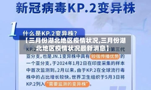 【三月份湖北地区疫情状况,三月份湖北地区疫情状况最新消息】-第2张图片