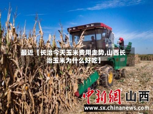 最近【长治今天玉米费用走势,山西长治玉米为什么好吃】