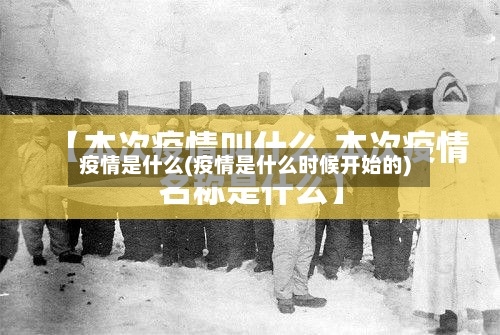 疫情是什么(疫情是什么时候开始的)-第2张图片