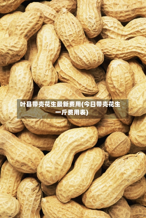 叶县带壳花生最新费用(今日带壳花生一斤费用表)